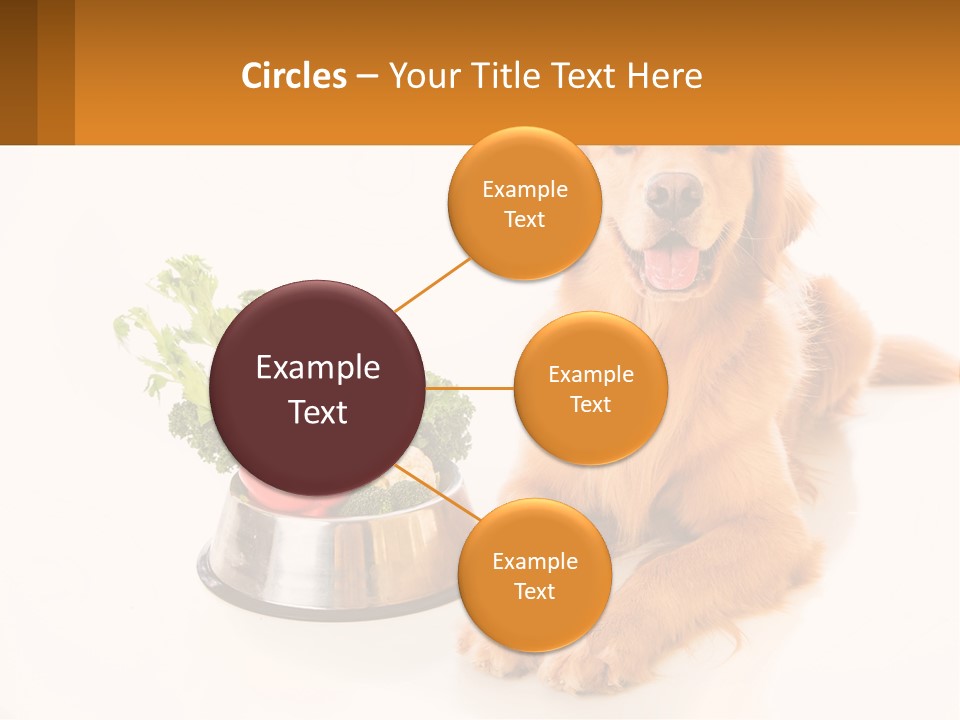 A Dog Sitting Next To A Bowl Of Vegetables PowerPoint Template