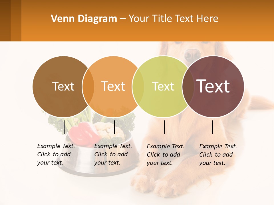 A Dog Sitting Next To A Bowl Of Vegetables PowerPoint Template
