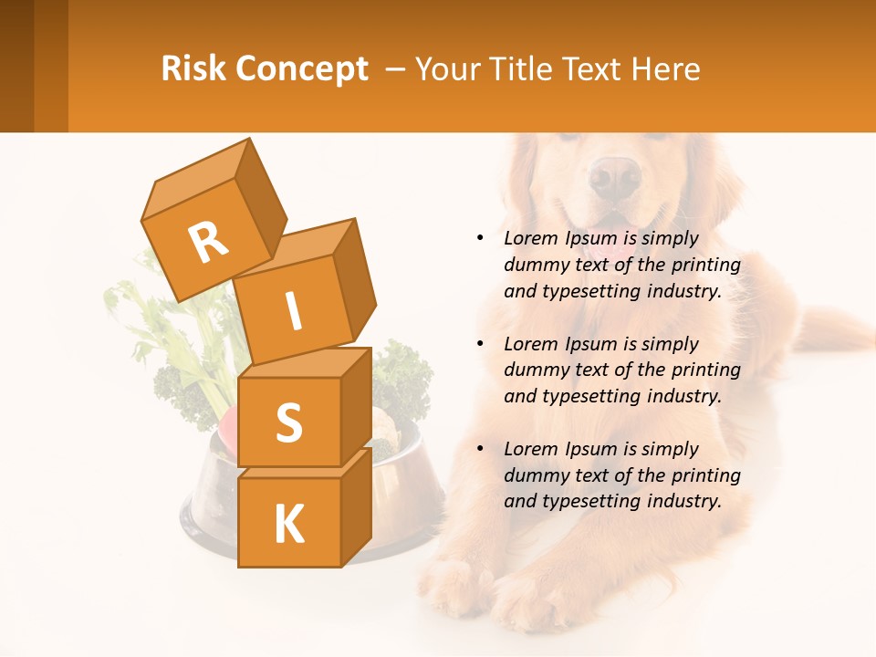 A Dog Sitting Next To A Bowl Of Vegetables PowerPoint Template