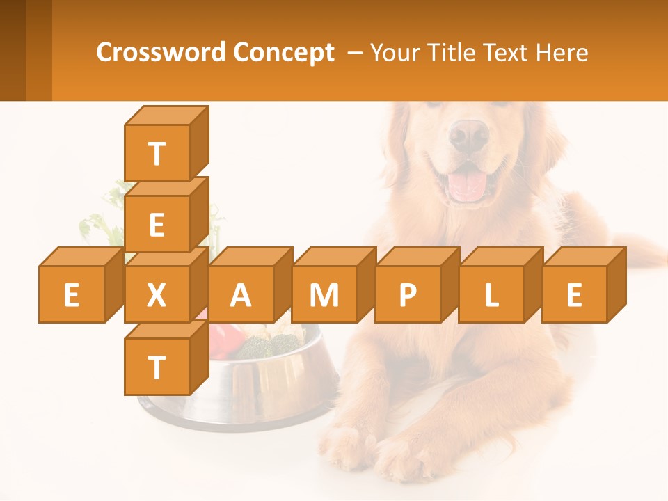 A Dog Sitting Next To A Bowl Of Vegetables PowerPoint Template