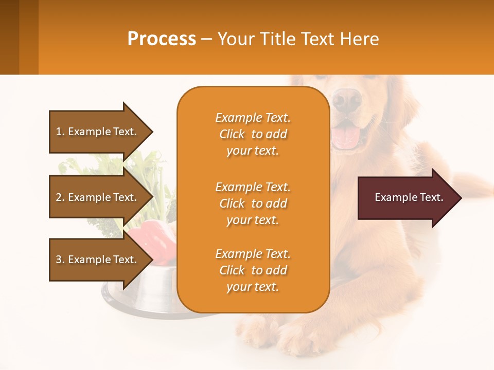 A Dog Sitting Next To A Bowl Of Vegetables PowerPoint Template