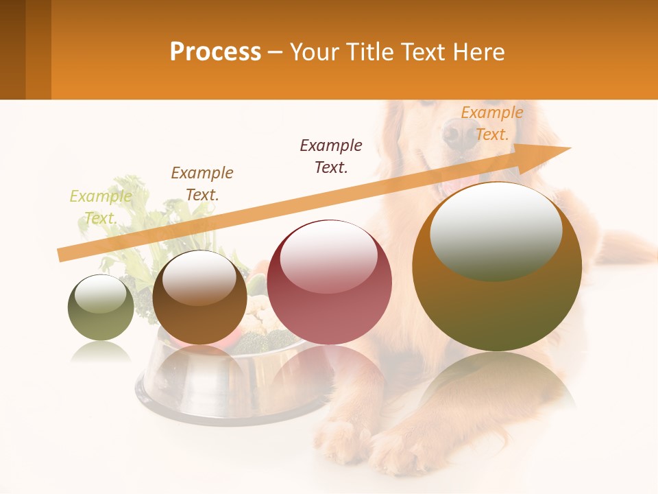 A Dog Sitting Next To A Bowl Of Vegetables PowerPoint Template