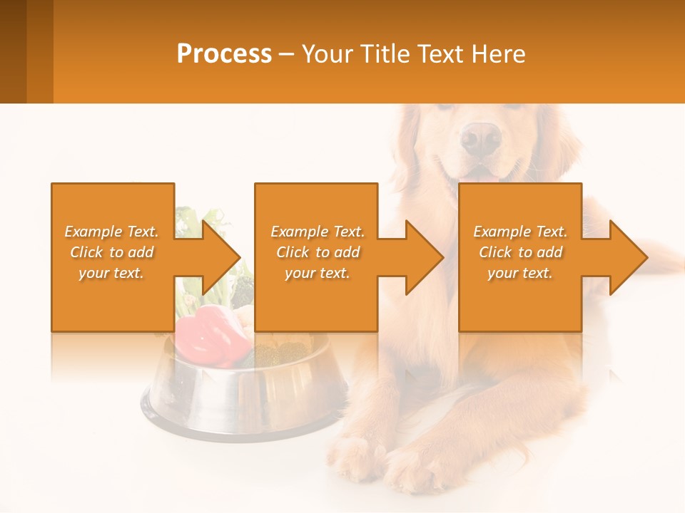 A Dog Sitting Next To A Bowl Of Vegetables PowerPoint Template