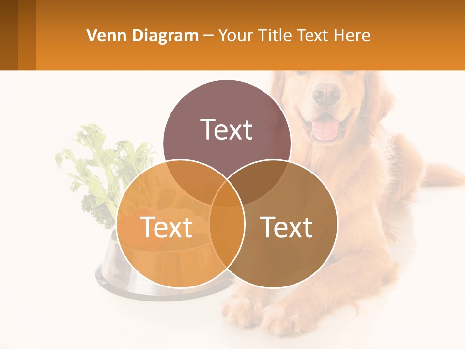 A Dog Sitting Next To A Bowl Of Vegetables PowerPoint Template