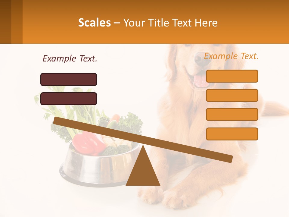 A Dog Sitting Next To A Bowl Of Vegetables PowerPoint Template