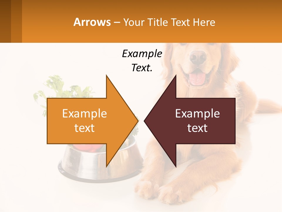 A Dog Sitting Next To A Bowl Of Vegetables PowerPoint Template