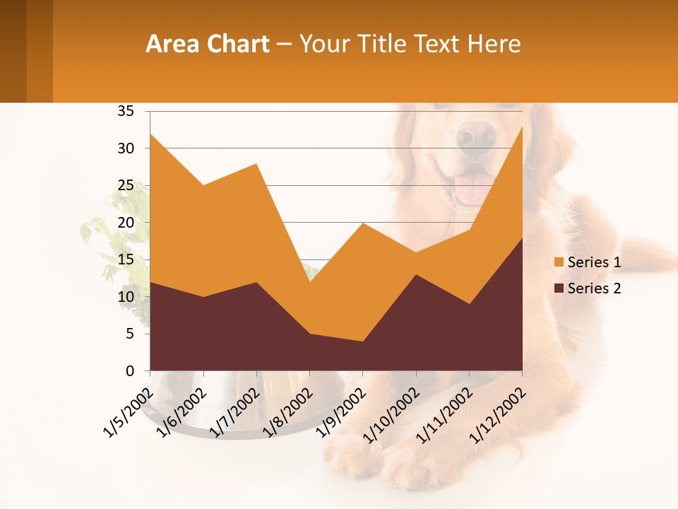 A Dog Sitting Next To A Bowl Of Vegetables PowerPoint Template