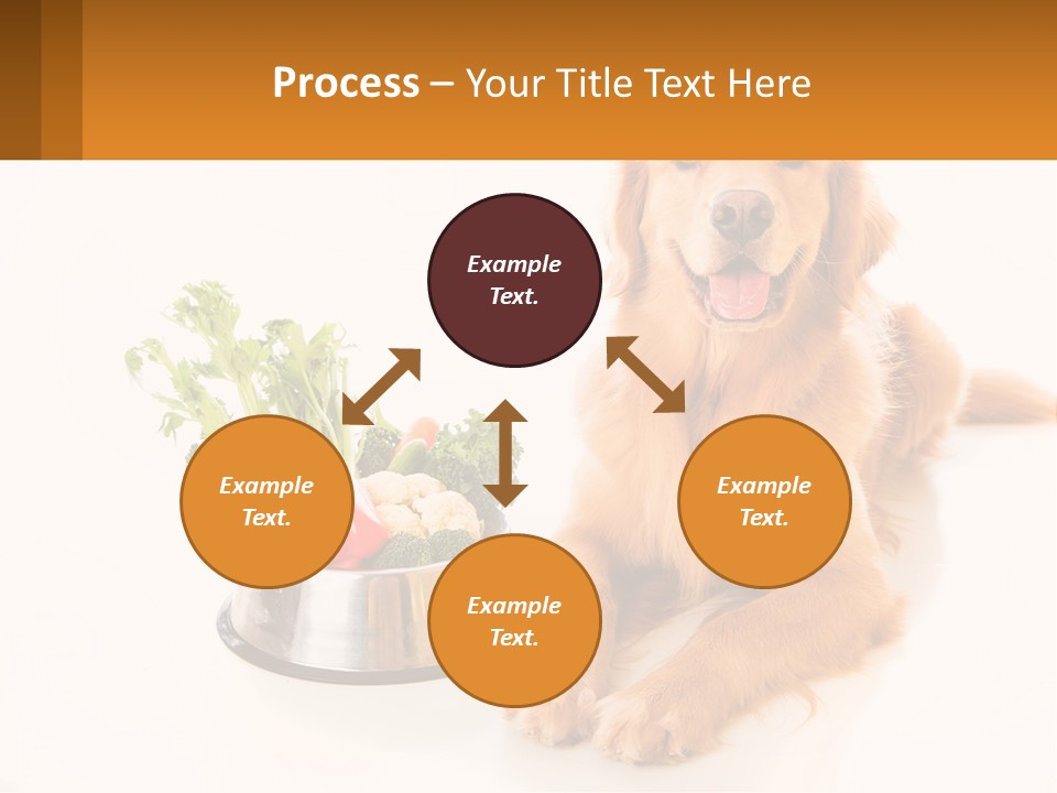 A Dog Sitting Next To A Bowl Of Vegetables PowerPoint Template