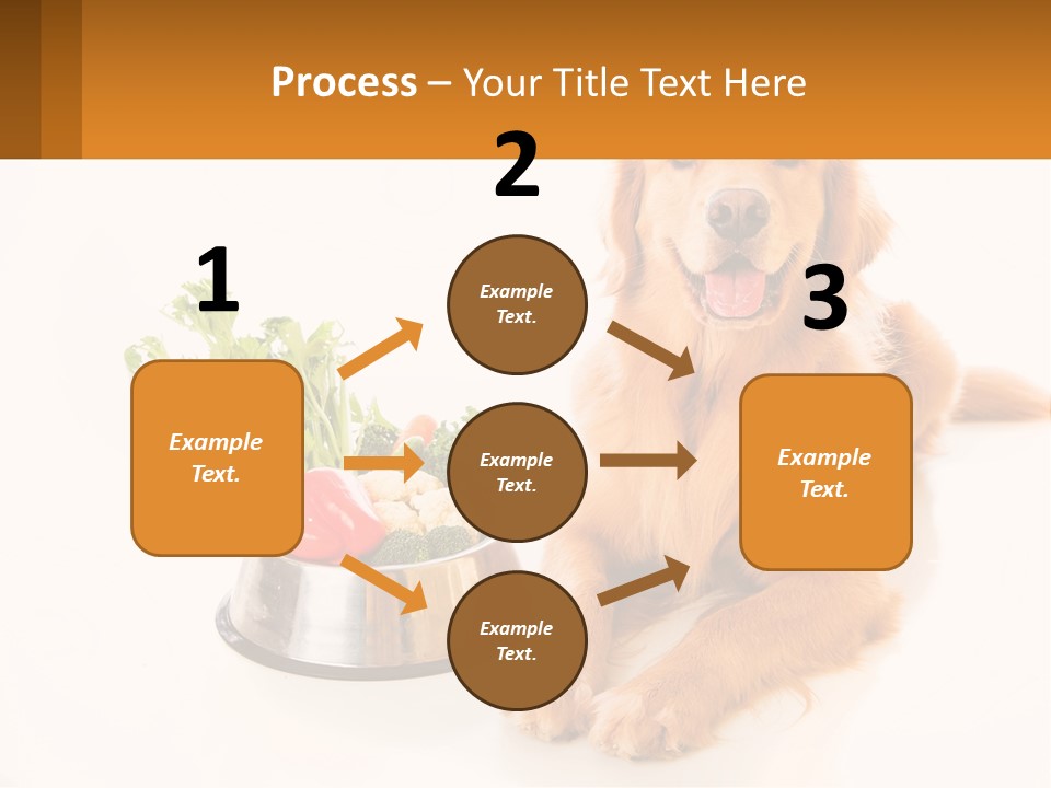 A Dog Sitting Next To A Bowl Of Vegetables PowerPoint Template