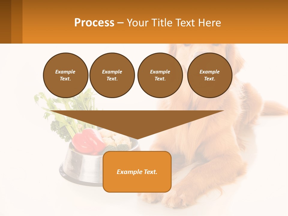 A Dog Sitting Next To A Bowl Of Vegetables PowerPoint Template