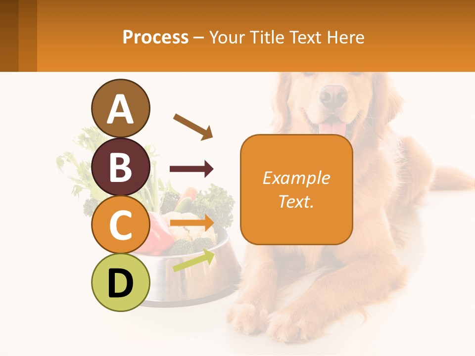 A Dog Sitting Next To A Bowl Of Vegetables PowerPoint Template