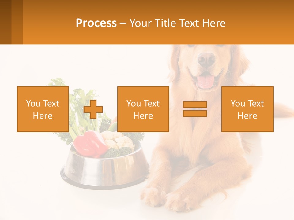 A Dog Sitting Next To A Bowl Of Vegetables PowerPoint Template