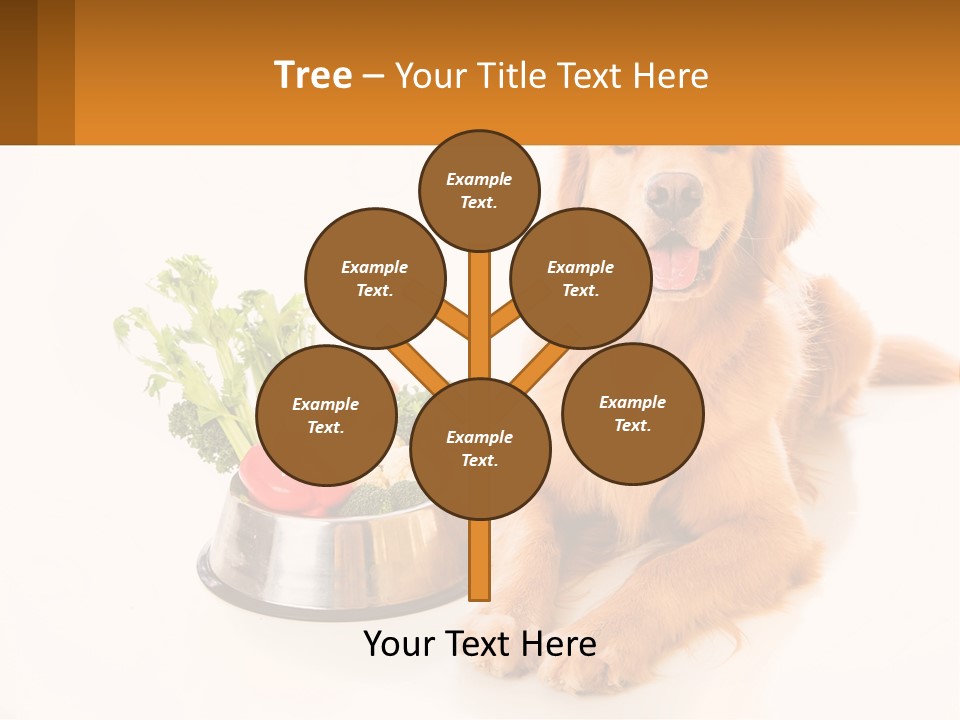 A Dog Sitting Next To A Bowl Of Vegetables PowerPoint Template