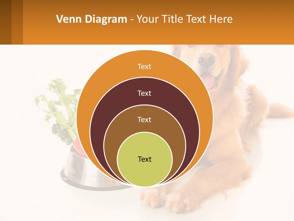 A Dog Sitting Next To A Bowl Of Vegetables PowerPoint Template