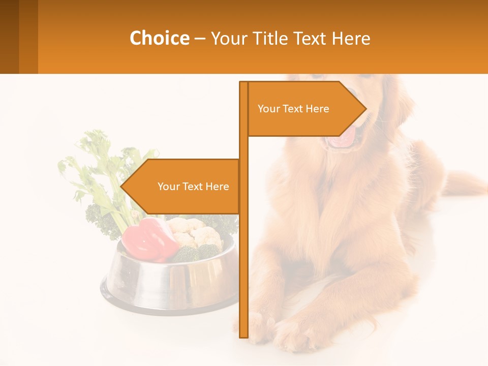 A Dog Sitting Next To A Bowl Of Vegetables PowerPoint Template