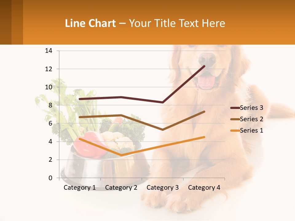 A Dog Sitting Next To A Bowl Of Vegetables PowerPoint Template