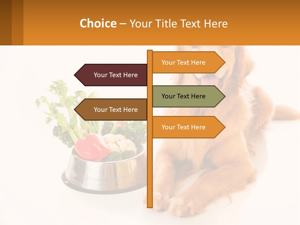A Dog Sitting Next To A Bowl Of Vegetables PowerPoint Template