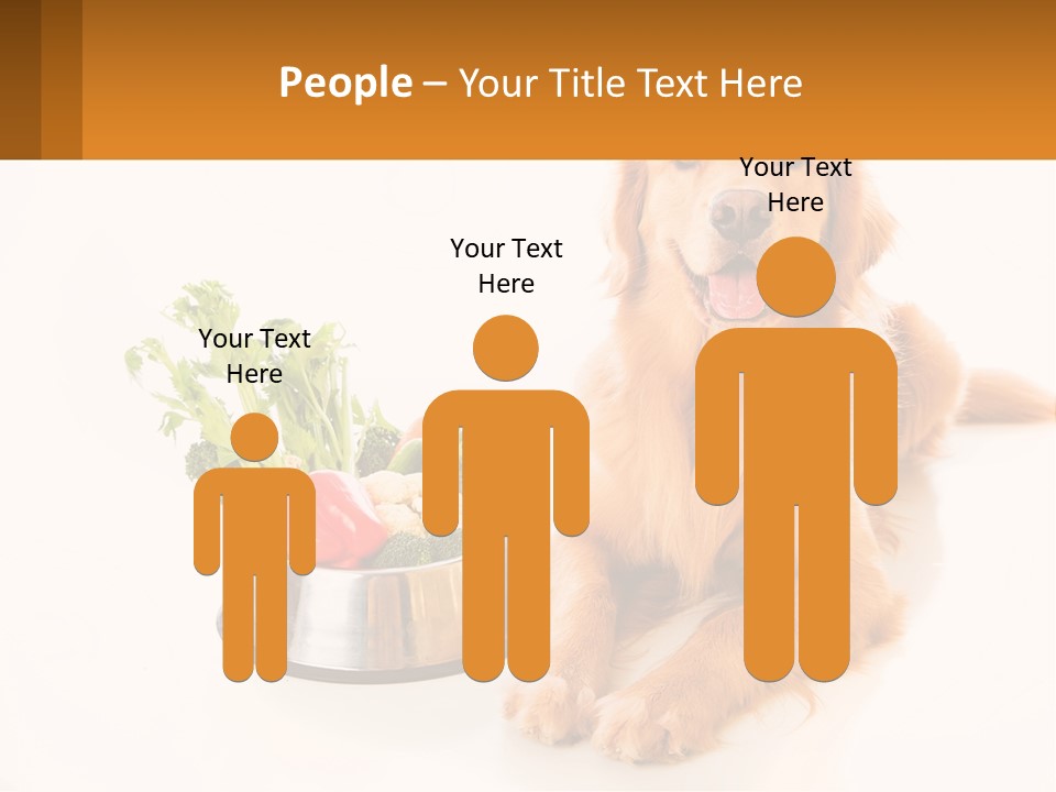 A Dog Sitting Next To A Bowl Of Vegetables PowerPoint Template