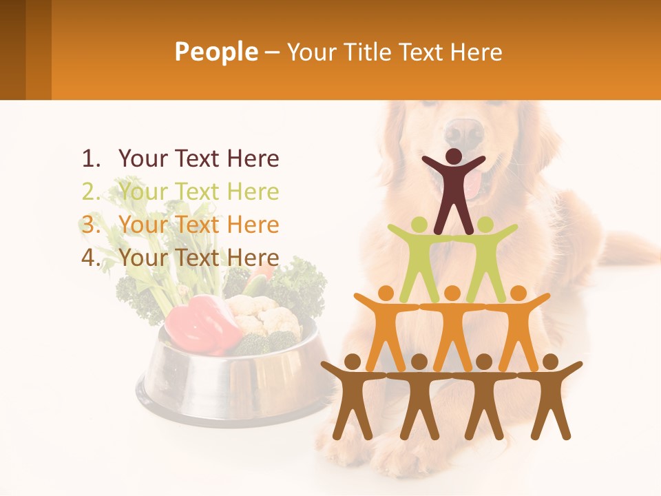 A Dog Sitting Next To A Bowl Of Vegetables PowerPoint Template