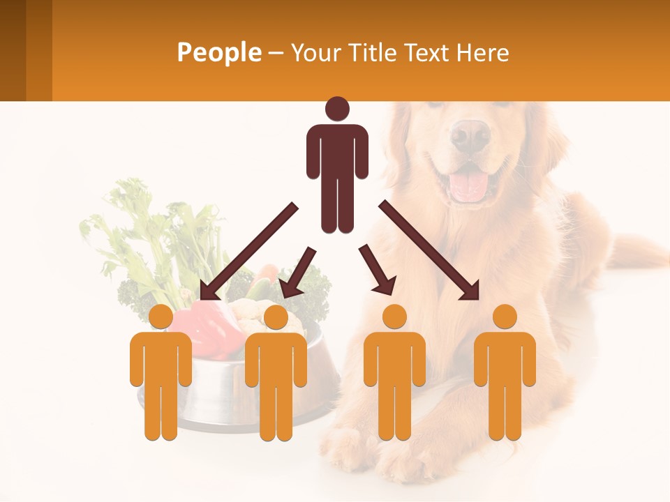 A Dog Sitting Next To A Bowl Of Vegetables PowerPoint Template