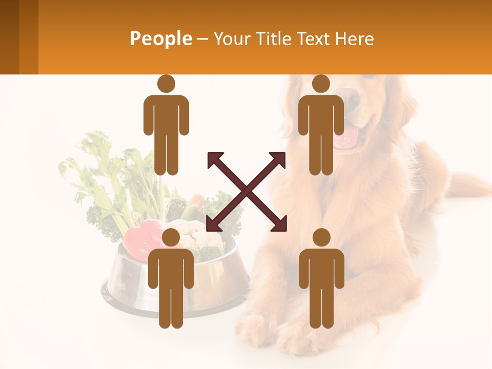 A Dog Sitting Next To A Bowl Of Vegetables PowerPoint Template