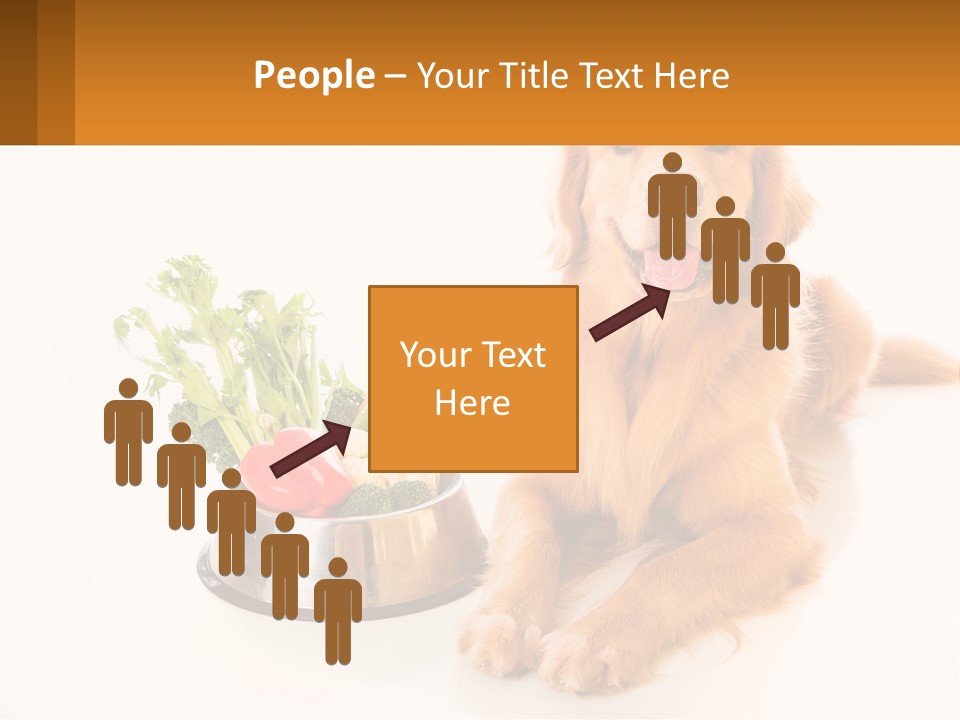 A Dog Sitting Next To A Bowl Of Vegetables PowerPoint Template
