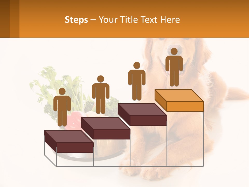 A Dog Sitting Next To A Bowl Of Vegetables PowerPoint Template