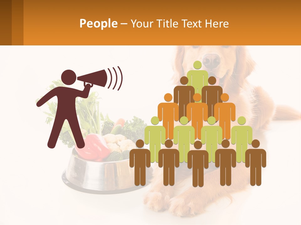 A Dog Sitting Next To A Bowl Of Vegetables PowerPoint Template