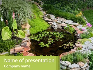 A Small Pond Surrounded By Rocks And Plants PowerPoint Template