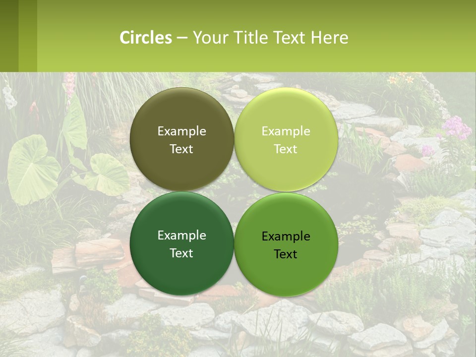 A Small Pond Surrounded By Rocks And Plants PowerPoint Template