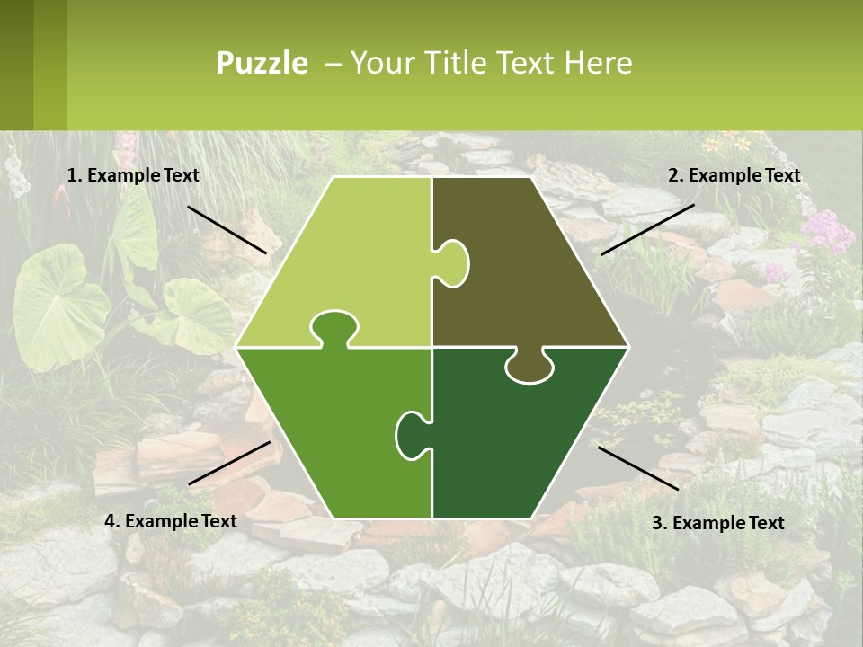 A Small Pond Surrounded By Rocks And Plants PowerPoint Template