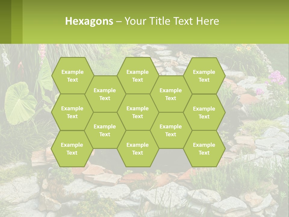 A Small Pond Surrounded By Rocks And Plants PowerPoint Template