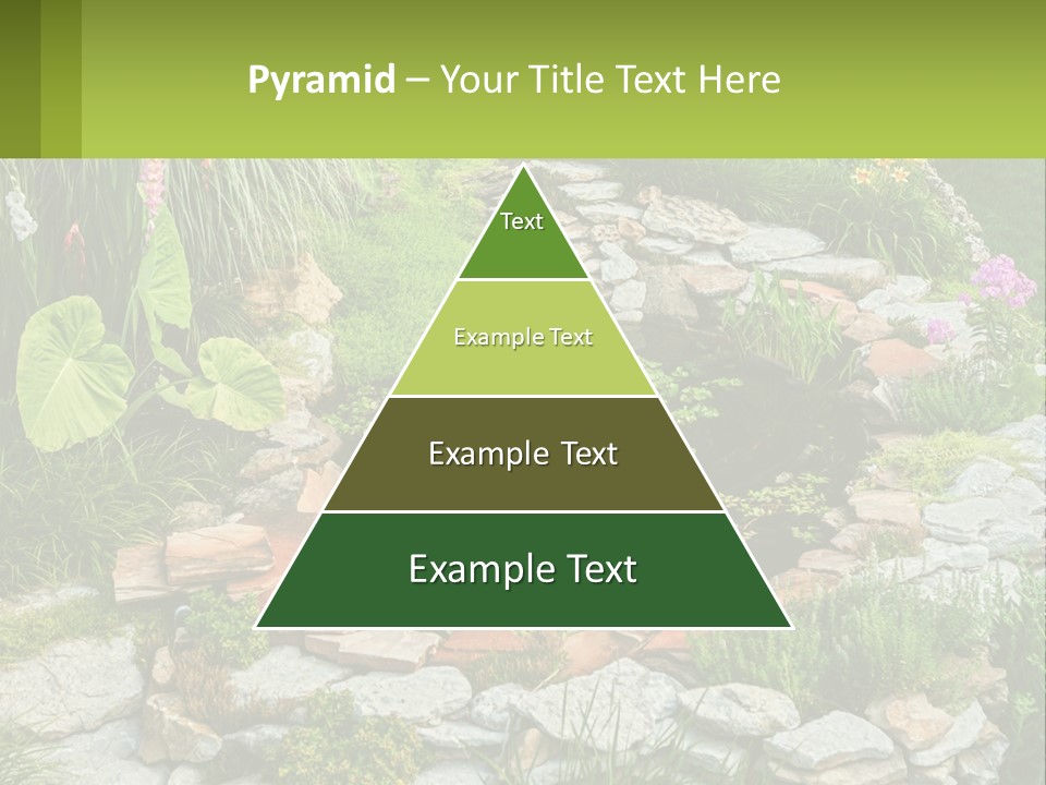 A Small Pond Surrounded By Rocks And Plants PowerPoint Template