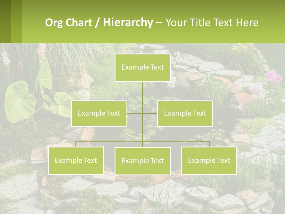 A Small Pond Surrounded By Rocks And Plants PowerPoint Template