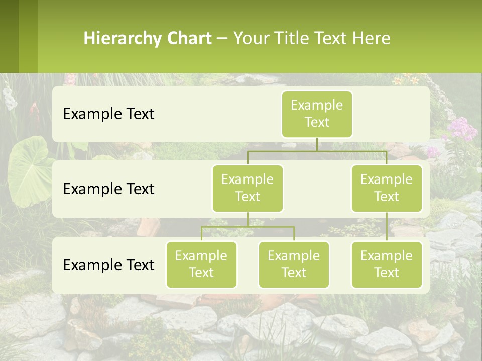 A Small Pond Surrounded By Rocks And Plants PowerPoint Template