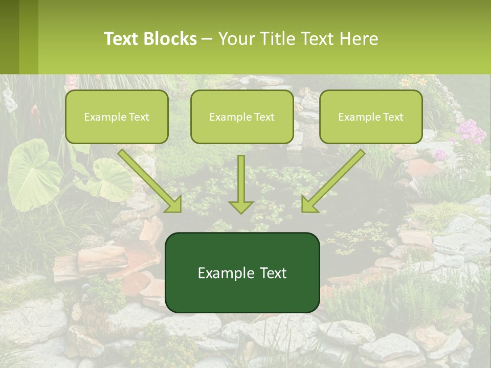 A Small Pond Surrounded By Rocks And Plants PowerPoint Template