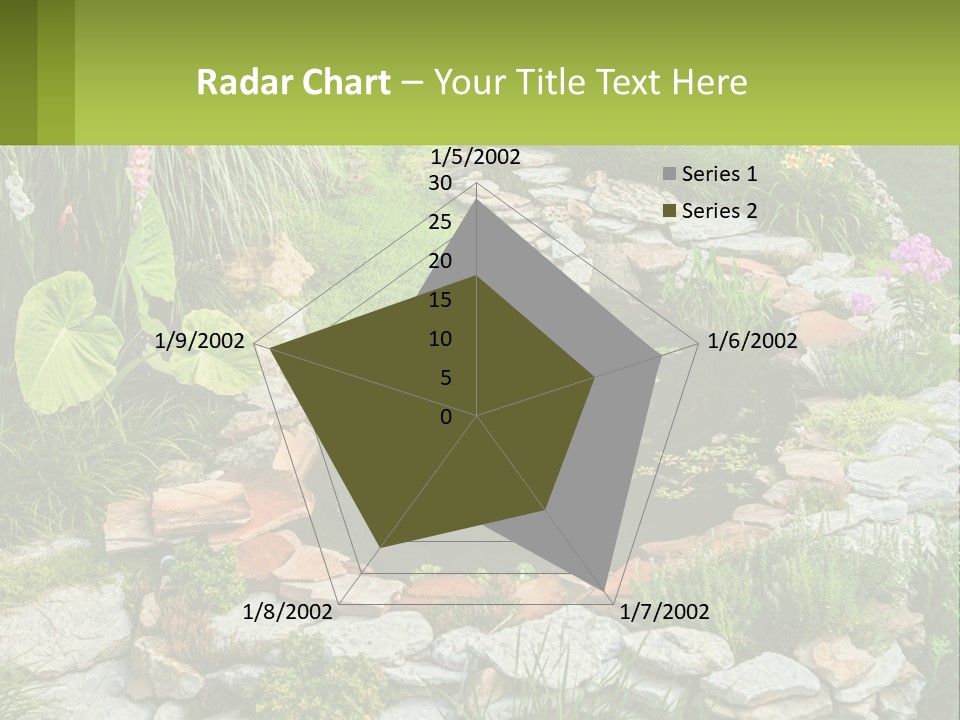 A Small Pond Surrounded By Rocks And Plants PowerPoint Template