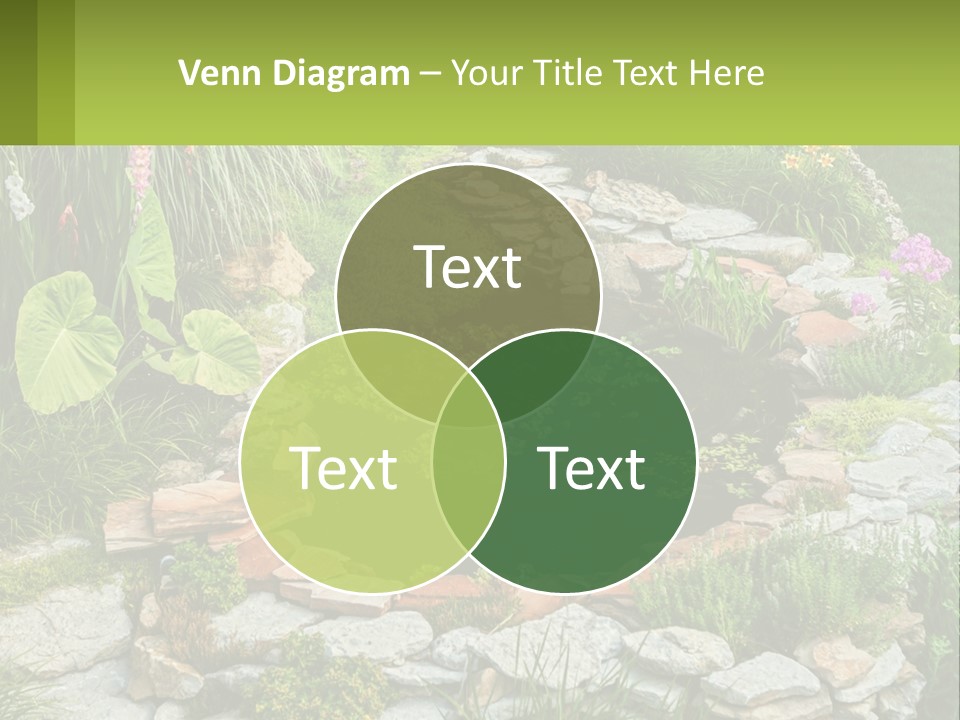 A Small Pond Surrounded By Rocks And Plants PowerPoint Template