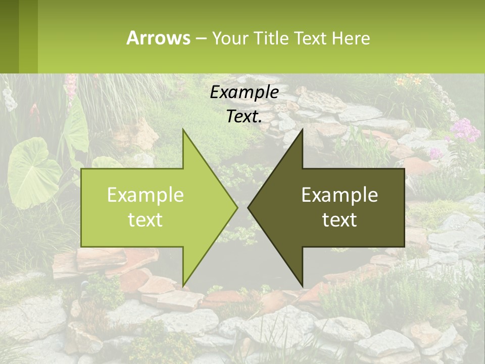 A Small Pond Surrounded By Rocks And Plants PowerPoint Template