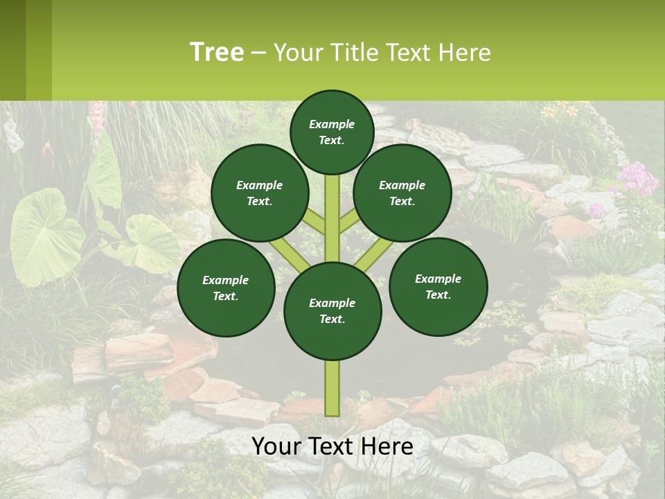 A Small Pond Surrounded By Rocks And Plants PowerPoint Template