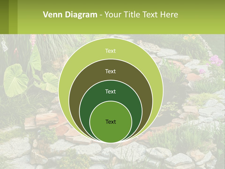 A Small Pond Surrounded By Rocks And Plants PowerPoint Template