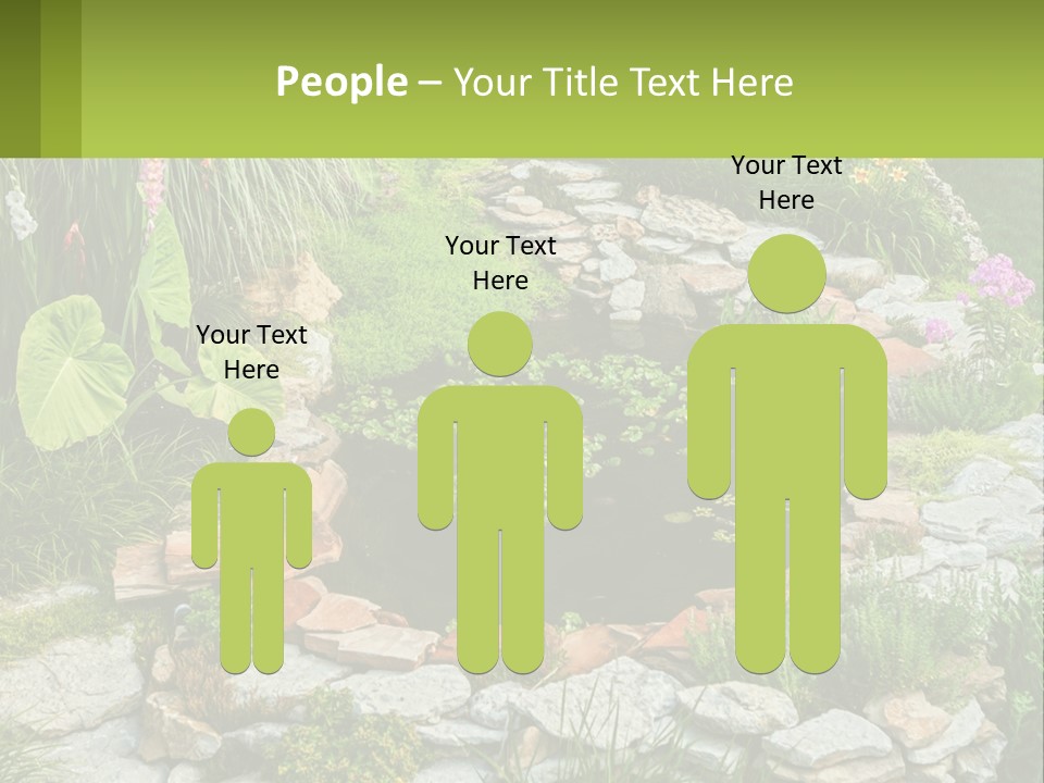 A Small Pond Surrounded By Rocks And Plants PowerPoint Template