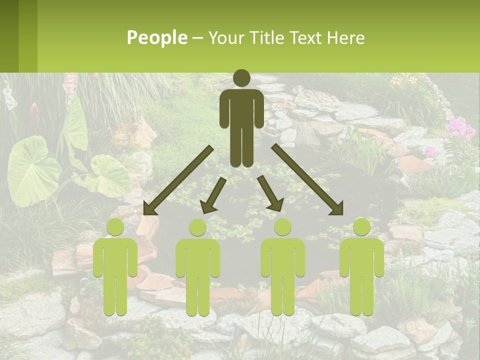 A Small Pond Surrounded By Rocks And Plants PowerPoint Template