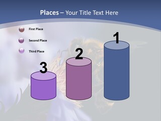 A Bee On A Flower Powerpoint Template PowerPoint Template