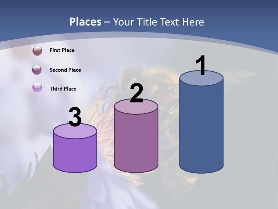 A Bee On A Flower Powerpoint Template PowerPoint Template