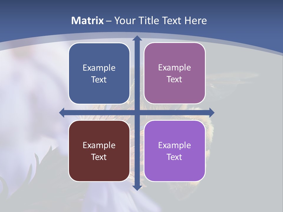 A Bee On A Flower Powerpoint Template PowerPoint Template