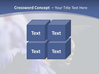 A Bee On A Flower Powerpoint Template PowerPoint Template