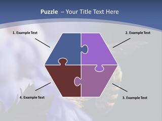 A Bee On A Flower Powerpoint Template PowerPoint Template