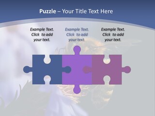 A Bee On A Flower Powerpoint Template PowerPoint Template