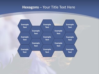 A Bee On A Flower Powerpoint Template PowerPoint Template